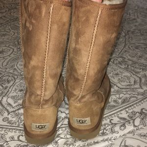 Classic Tall UGGS in Chestnut
